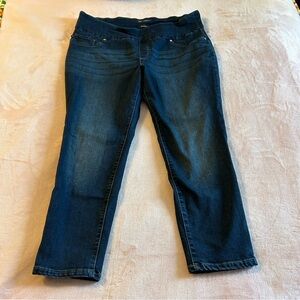 Lee Slim Fit Skinny Leg Mid Rise Sculpting pull on blue jeans size 20W petite